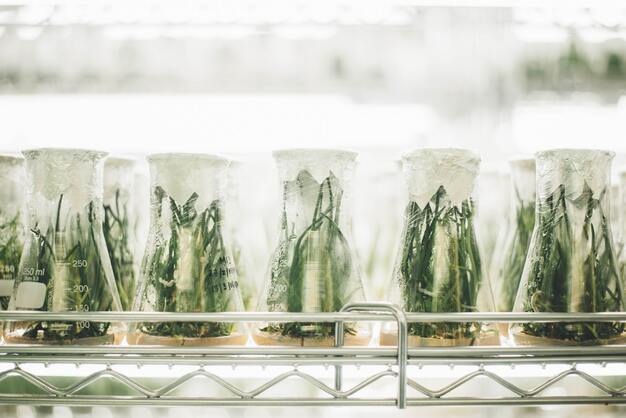 Biotech plants