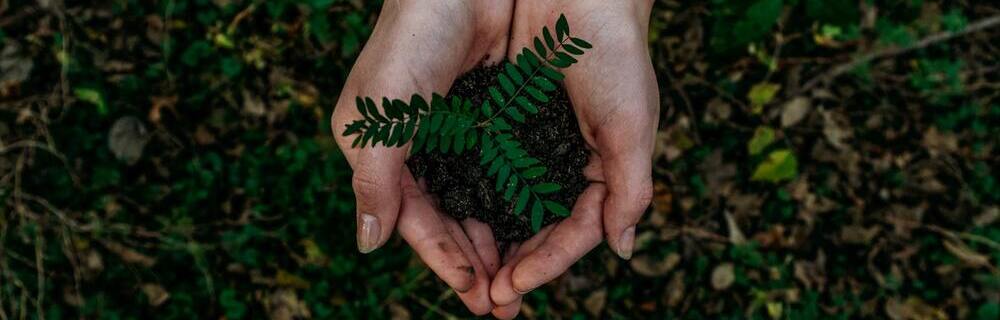 sustainable technology
